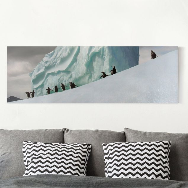 Wanddeko Wohnzimmer Arctic Penguins