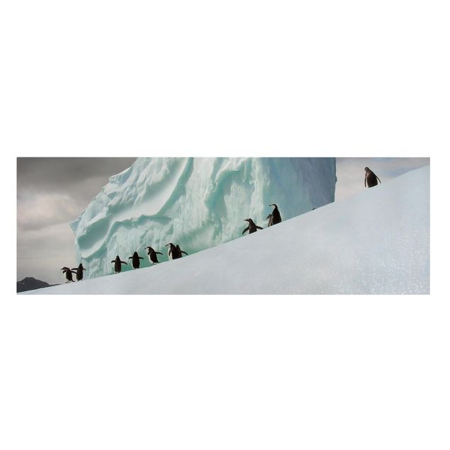 Wanddeko Büro Arctic Penguins