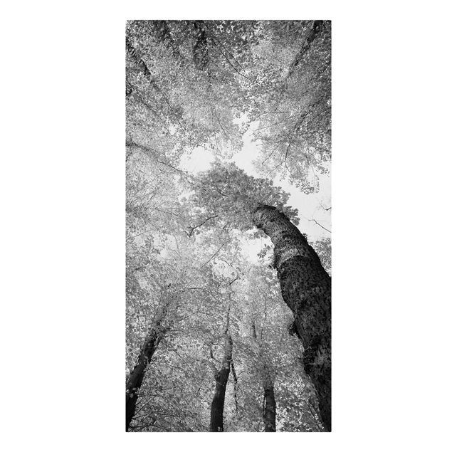 Wanddeko Esszimmer Bäume des Lebens II