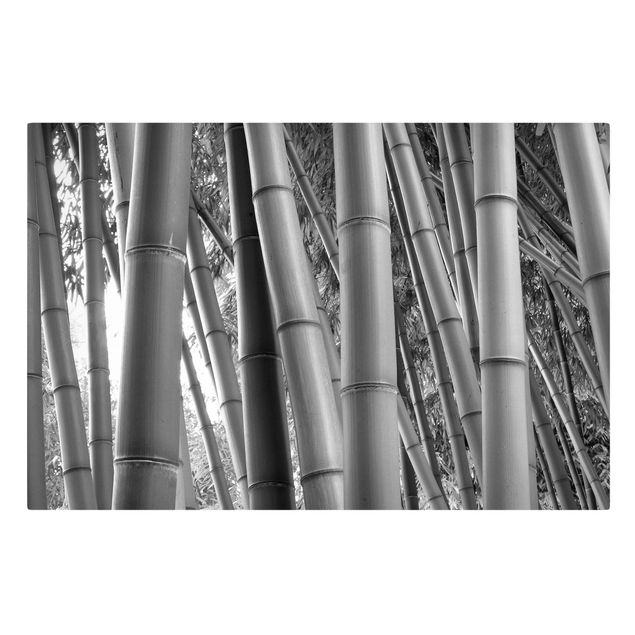 Wanddeko Büro Bamboo