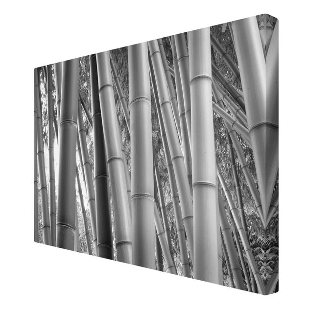 Leiwandbild Bambus Bamboo