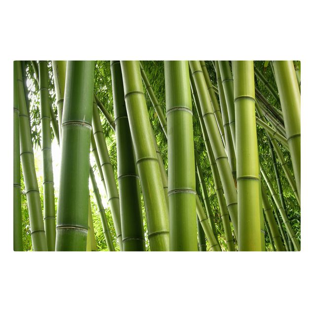 Wanddeko Büro Bamboo Trees