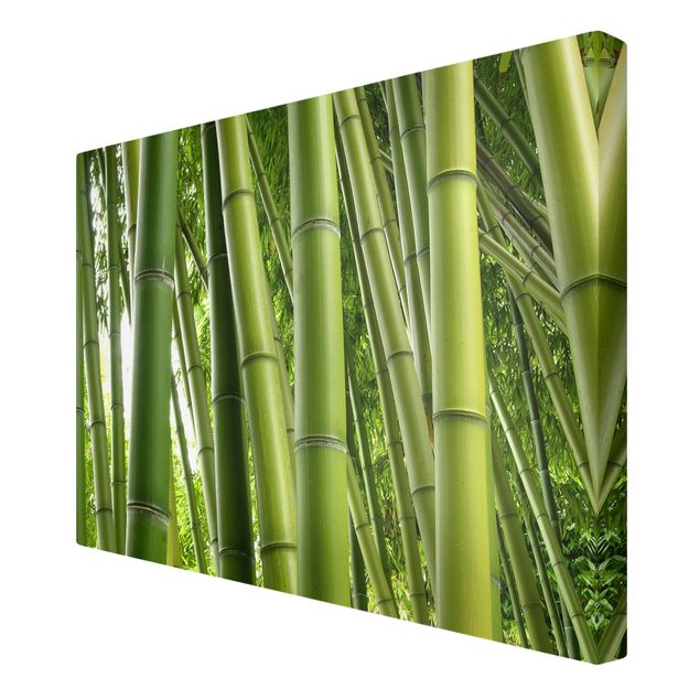 Leinwandbilder Bambus Bamboo Trees