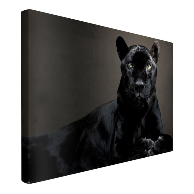Leiwandbild Katze Black Puma