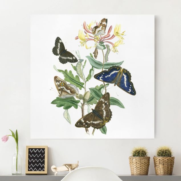 Wanddeko Wohnzimmer Britische Schmetterlinge IV