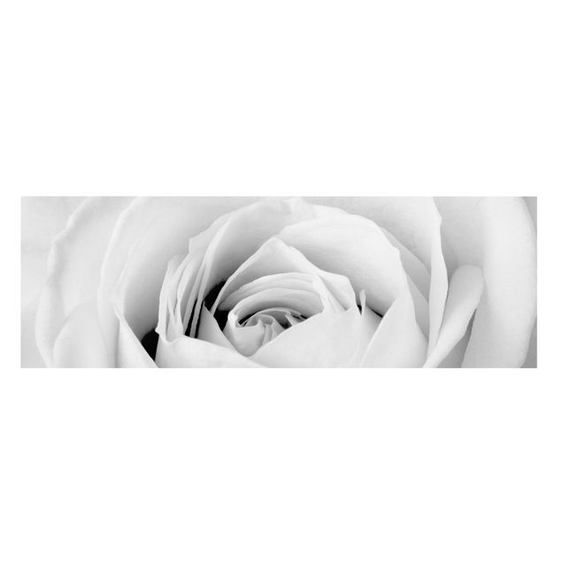 Deko Blume Close Up Rose