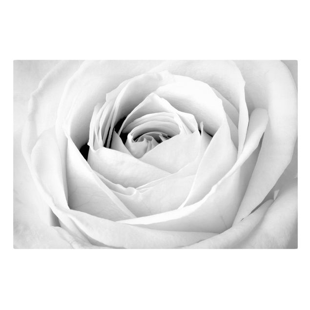 Deko Blume Close Up Rose
