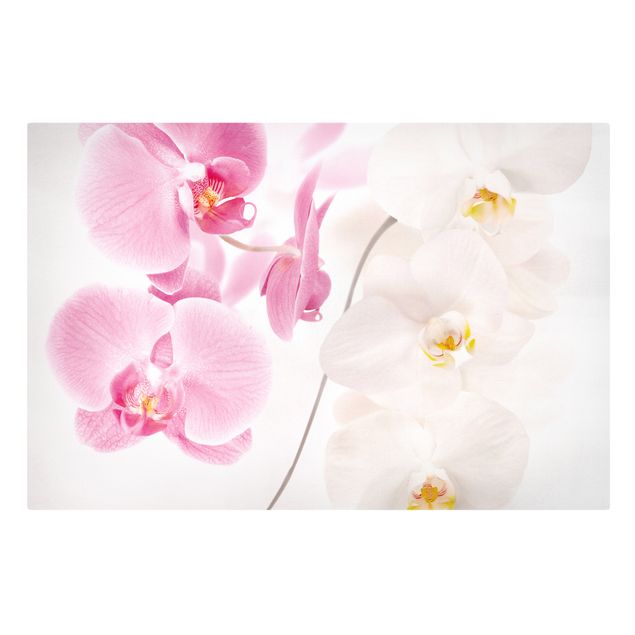 Deko Blume Delicate Orchids
