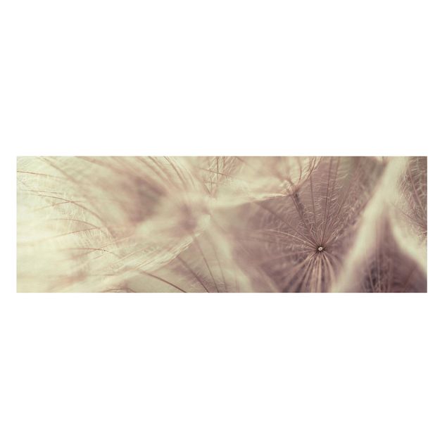 Deko Blume Detailreiche Pusteblumen Makroaufnahme mit Vintage Blur Effekt