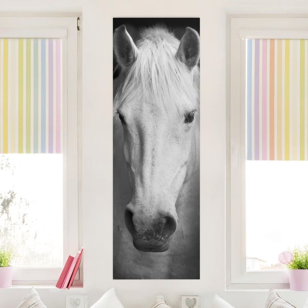 Wanddeko Büro Dream of a Horse