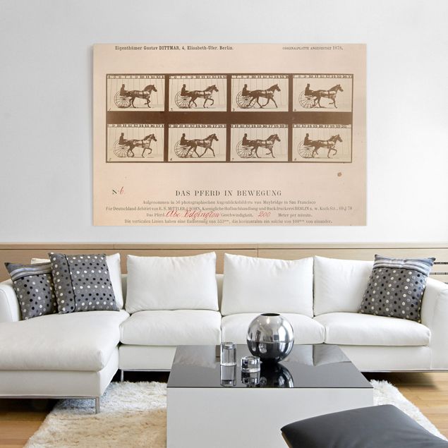 Wanddeko Wohnzimmer Eadweard Muybridge - Das Pferd in Bewegung
