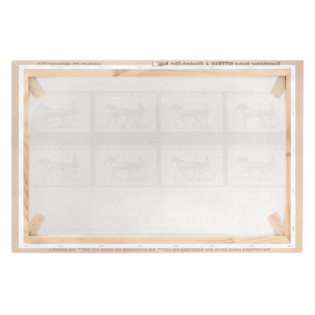 Leinwandbild Pferd Eadweard Muybridge - Das Pferd in Bewegung