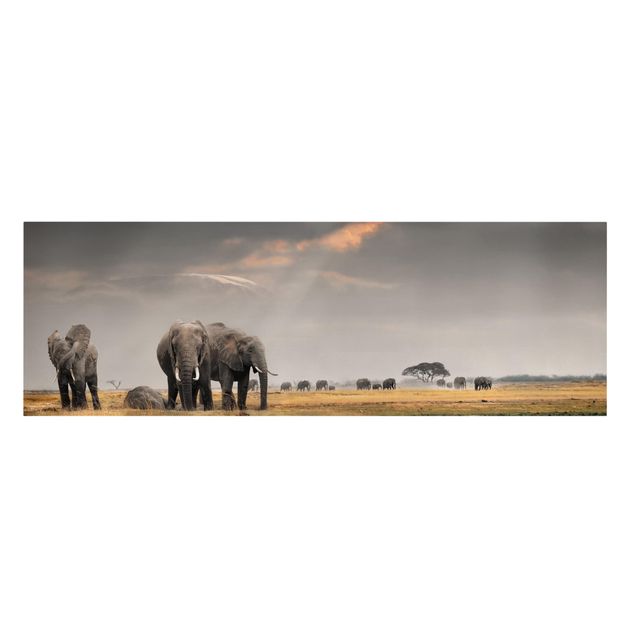 Wanddeko Wohnzimmer Elefanten der Savanne