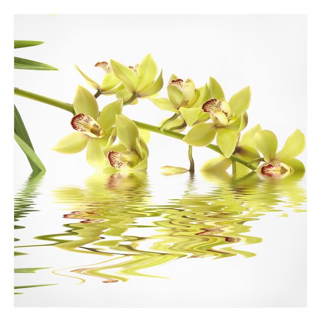 Wanddeko Botanik Elegant Orchid Waters