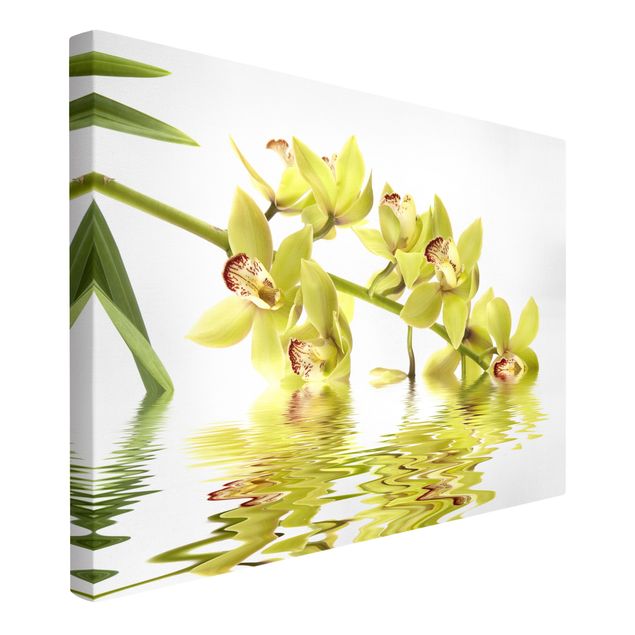 Wohndeko Botanik Elegant Orchid Waters