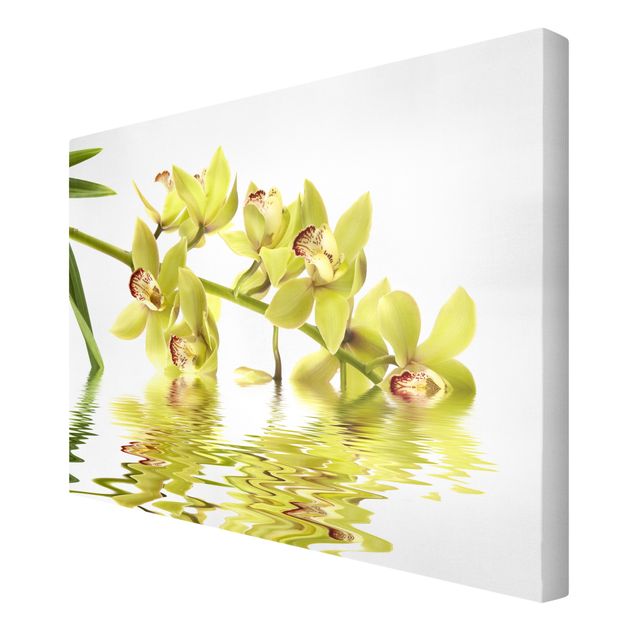 Wohndeko Blume Elegant Orchid Waters