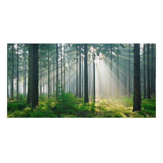 Wanddeko Flur Enlightened Forest