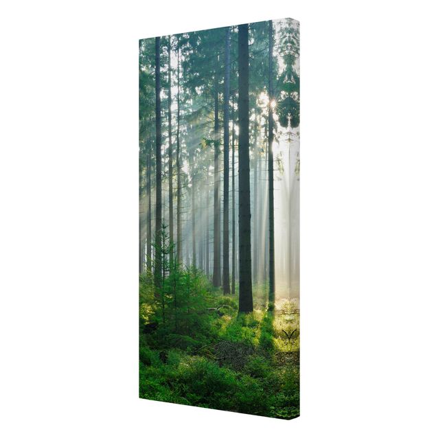 Wanddeko grün Enlightened Forest