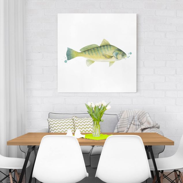 Leinwandbilder Fisch Farbfang - Flussbarsch