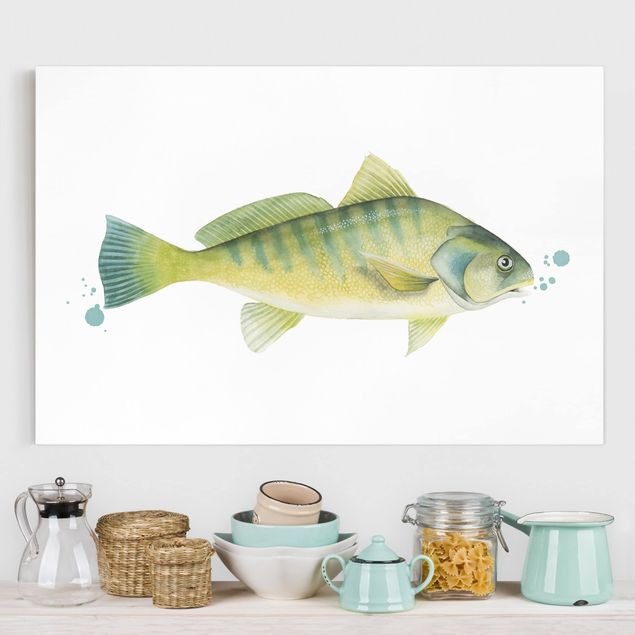 Leinwandbild Fisch Farbfang - Flussbarsch