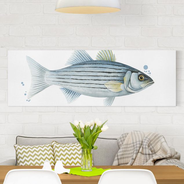 Leinwandbild Fisch Farbfang - Weißbarsch