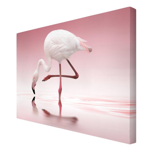 Leinwandbilder Vögel Flamingo Dance