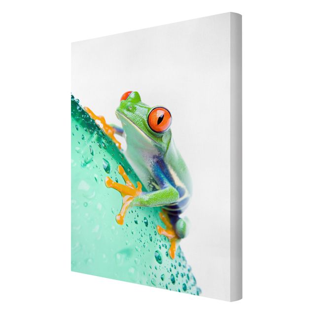 Wanddeko Büro Frog