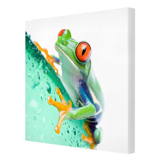 Wanddeko Esszimmer Frog