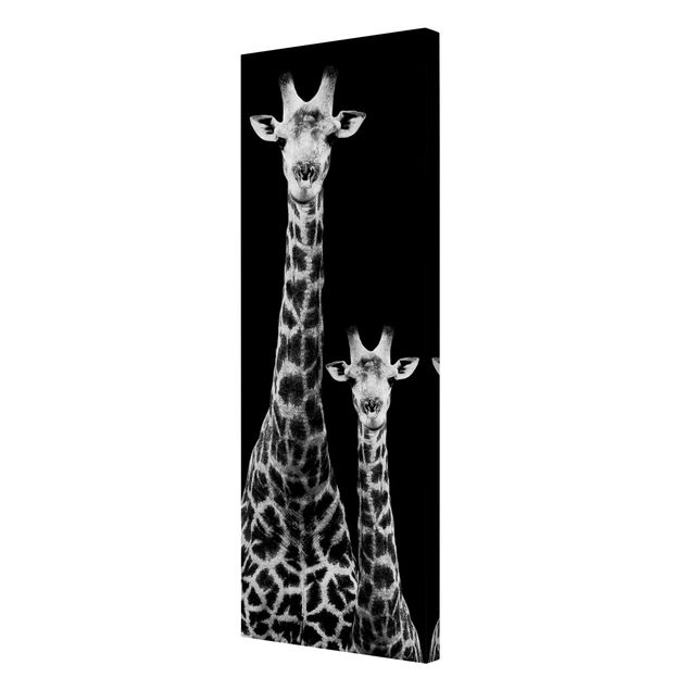 Wandbilder Giraffen Giraffen Duo schwarz-weiß