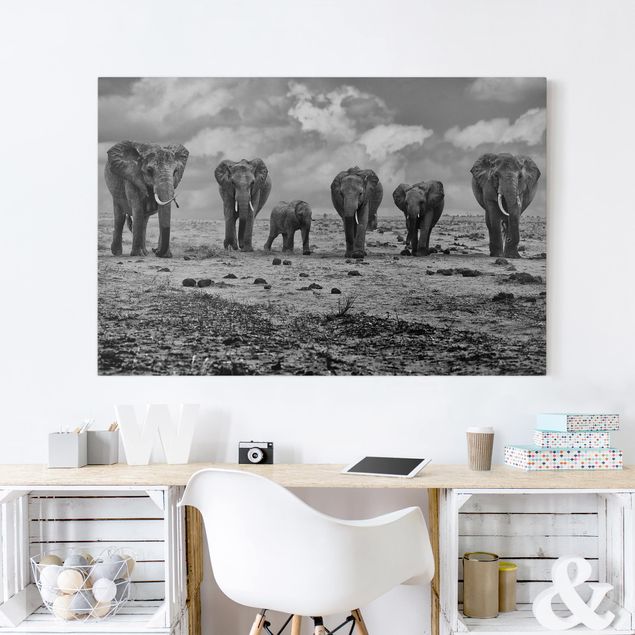 Wandbilder Elefanten Großfamilie