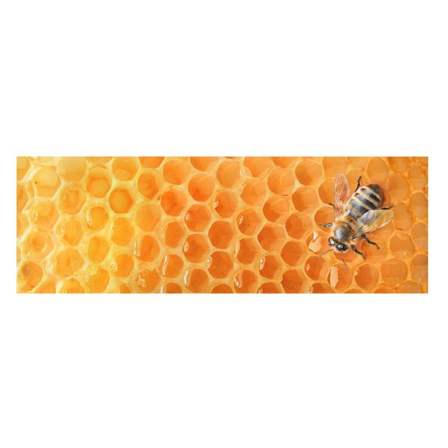 Wanddeko Büro Honey Bee
