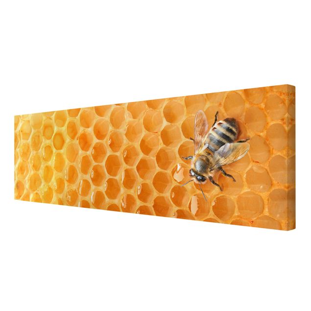 Wanddeko Treppenhaus Honey Bee