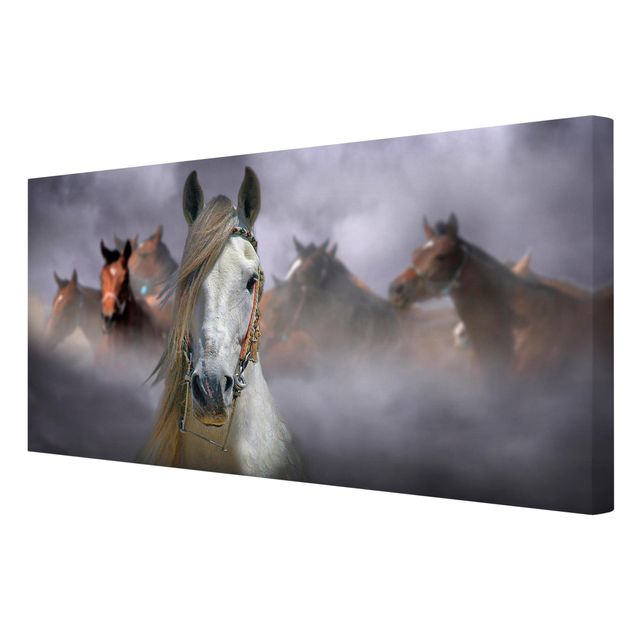 Leinwand Pferd Horses in the Dust