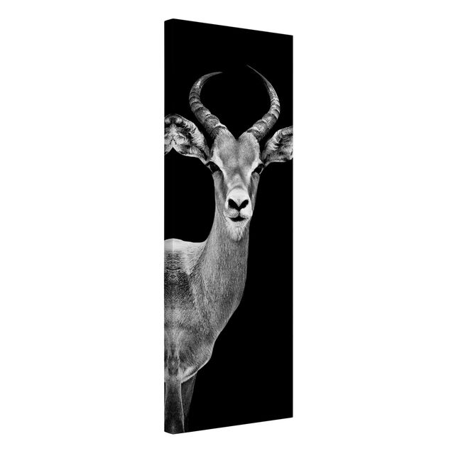 Wanddeko Esszimmer Impala Antilope schwarz-weiß