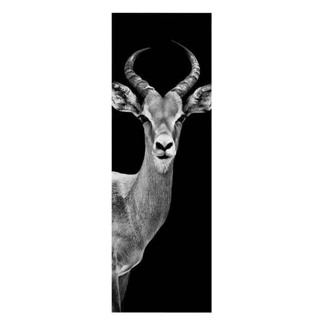 Wanddeko Büro Impala Antilope schwarz-weiß
