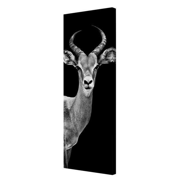 Wanddeko Treppenhaus Impala Antilope schwarz-weiß