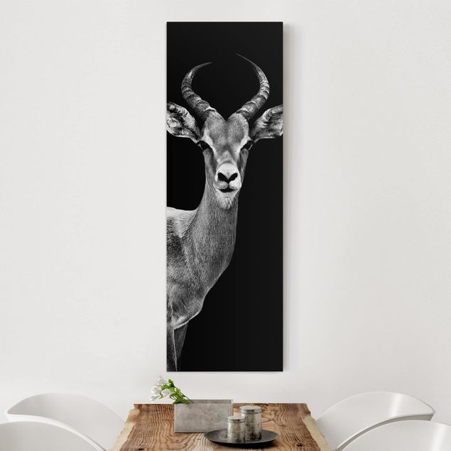 Wanddeko Wohnzimmer Impala Antilope schwarz-weiß