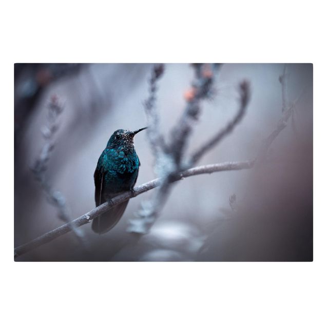 Wanddeko Büro Kolibri im Winter