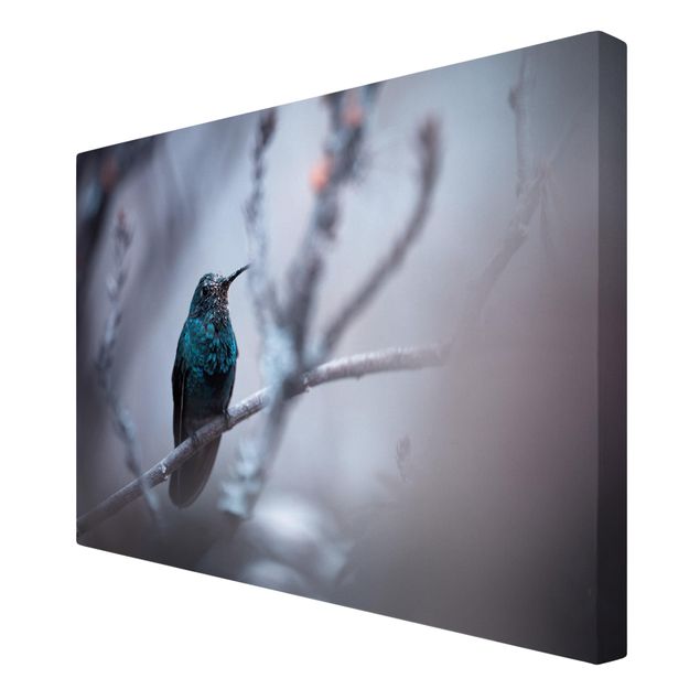 Leinwandbilder Vögel Kolibri im Winter