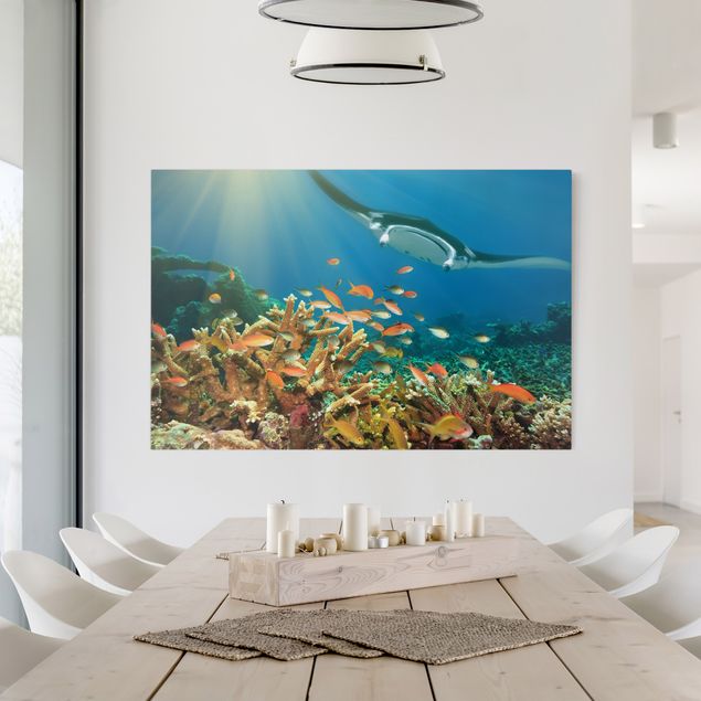 Wanddeko Wohnzimmer Korallenriff