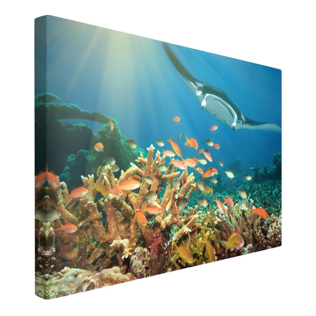 Wanddeko Schlafzimmer Korallenriff