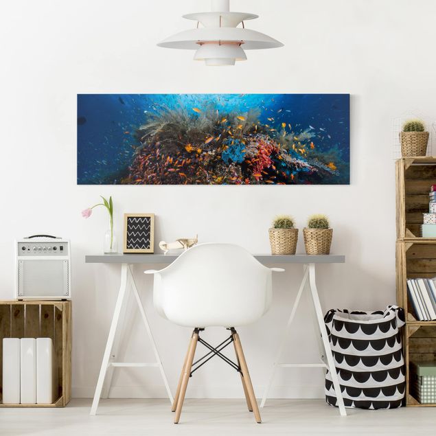 Wandbilder Fische Lagune mit Fischen