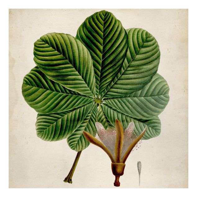 Wanddeko grün Laubbaum Schautafel II