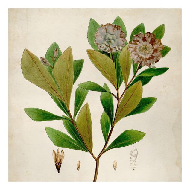 Wanddeko grün Laubbaum Schautafel V
