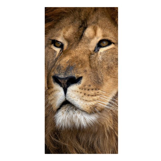 Leinwandbild Löwe Löwenblick