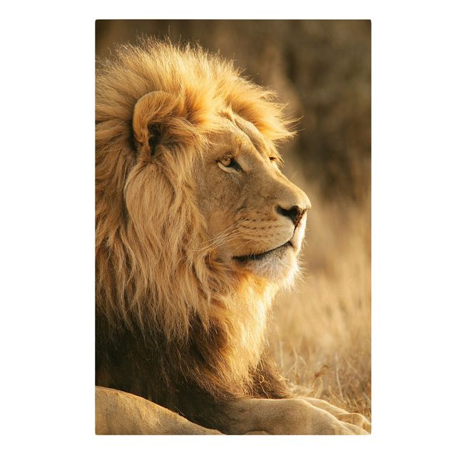 Tiger Leinwand Löwenkönig
