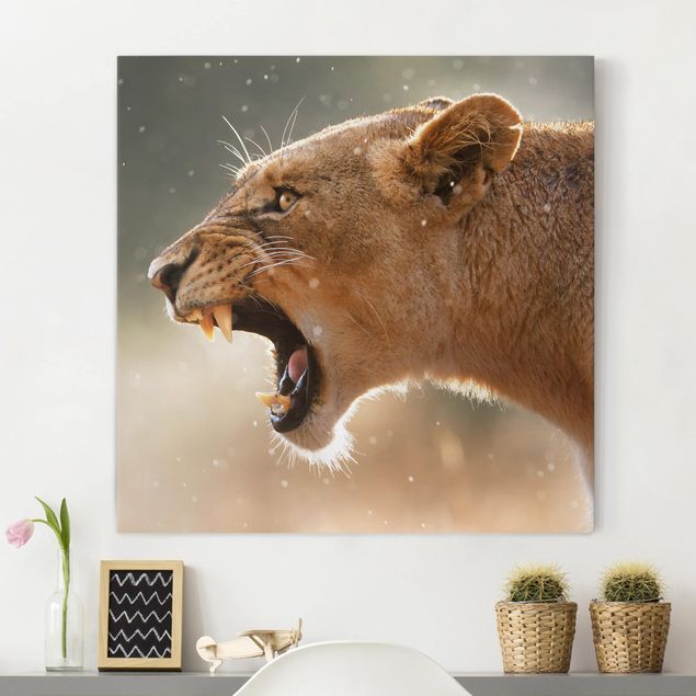 Wanddeko Wohnzimmer Löwin auf der Jagd