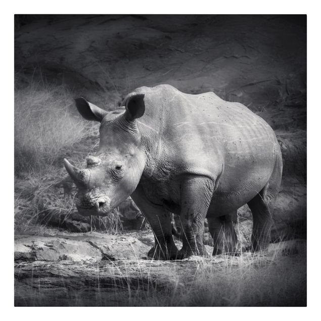 Wanddeko Büro Lonesome Rhinoceros