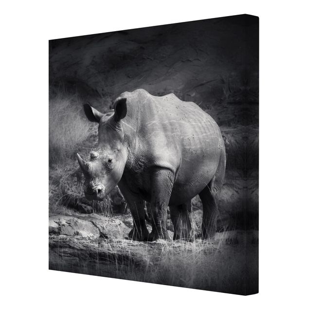 Wanddeko Treppenhaus Lonesome Rhinoceros