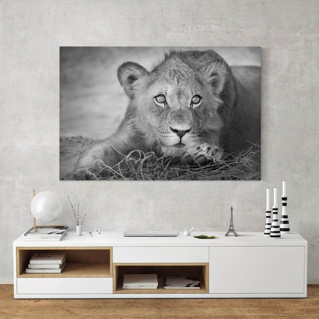 Wanddeko Schlafzimmer Lurking Lionbaby